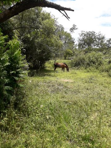 Terreno a venda em sapucaia rs