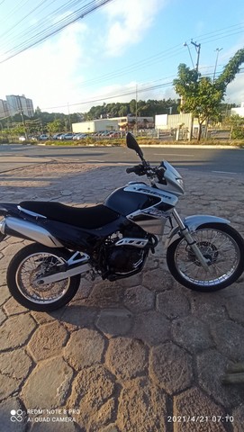 FALCON TOP