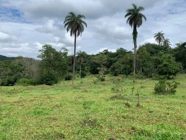 Fazenda 3ha, com 3km de beira de rio, nascente no terreno, terra de cultivo, Lagoa Santa. - Foto 5