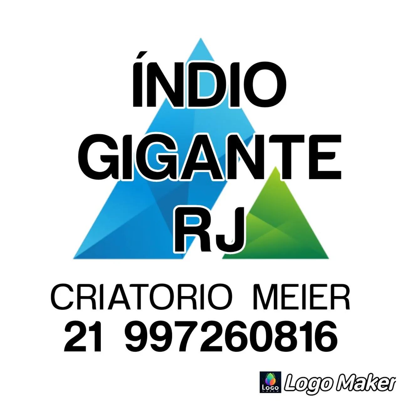 Pintinhos 50 reais  ÍNDIO GIGANTE RJ