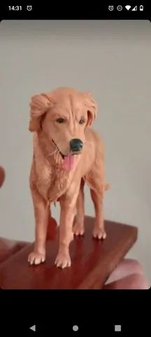 Pets ? em miniatura  - Foto 5