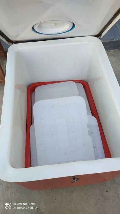 Carrinho de Sorvete/picolé.  Valor a negociar. - Foto 4