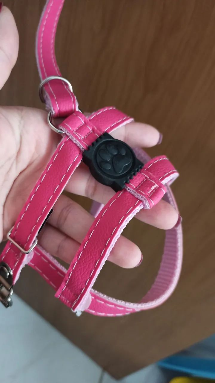Filhote de Pug Fêmea - Foto 3