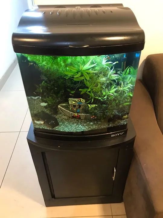 Aquário Boyu-MT 50(80L)