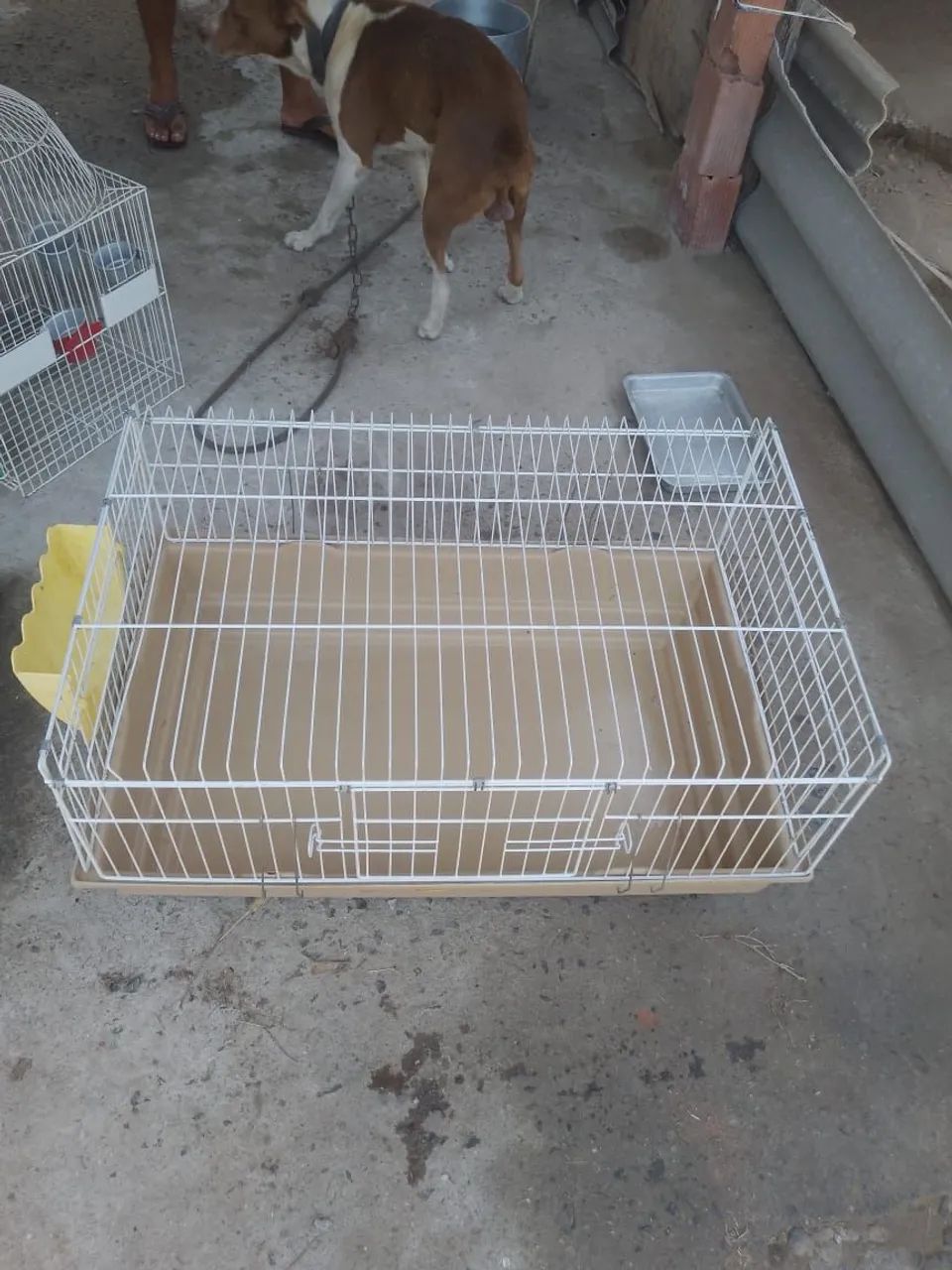 Vendo gaiola , viveiro e gaiola para coelho.  - Foto 4