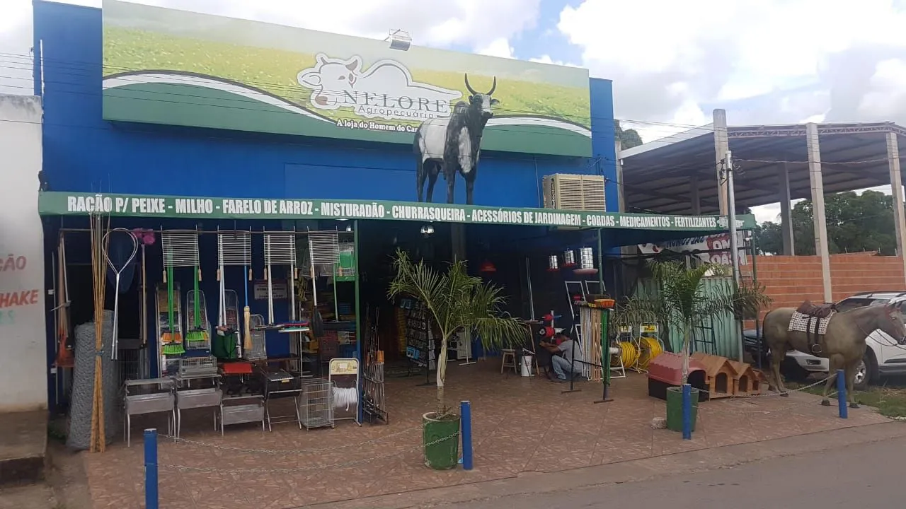 Vendo loja agropecuária