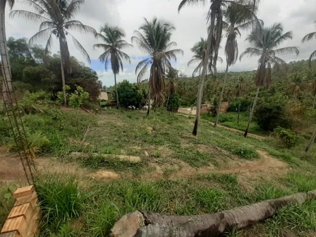  Terreno com vista panorâmica em Bitingui - Japaratinga/AL - Foto 3