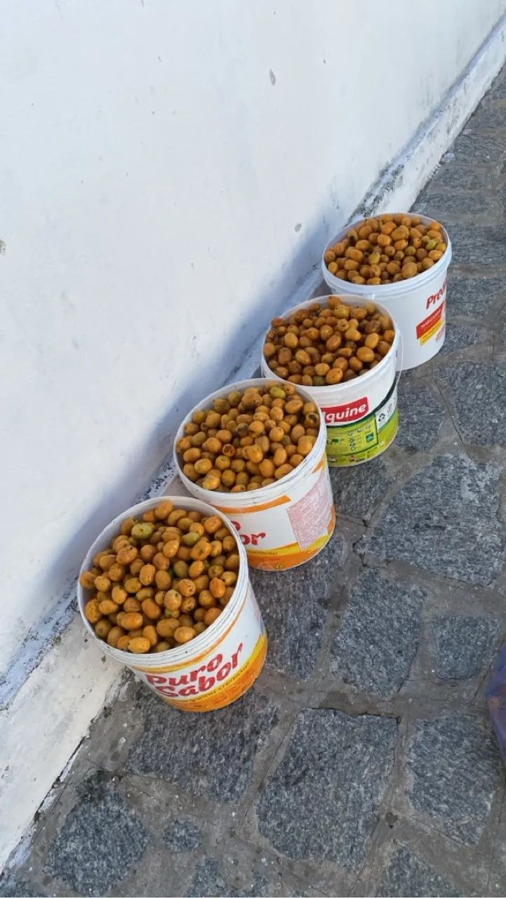 Balde de Caja a fruta 