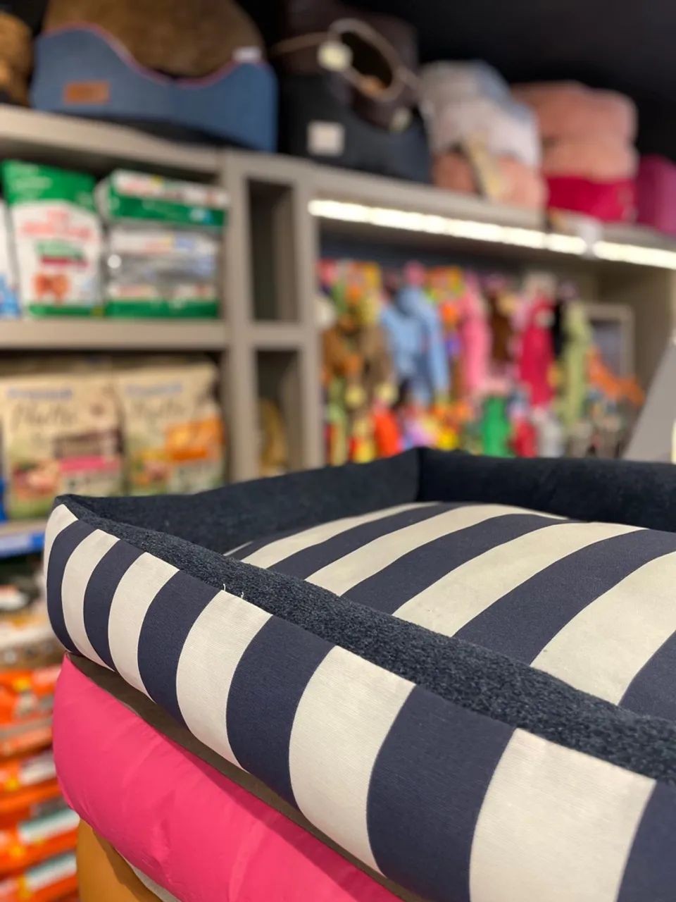 VENDO PET SHOP NO KOBRASOL - Foto 4