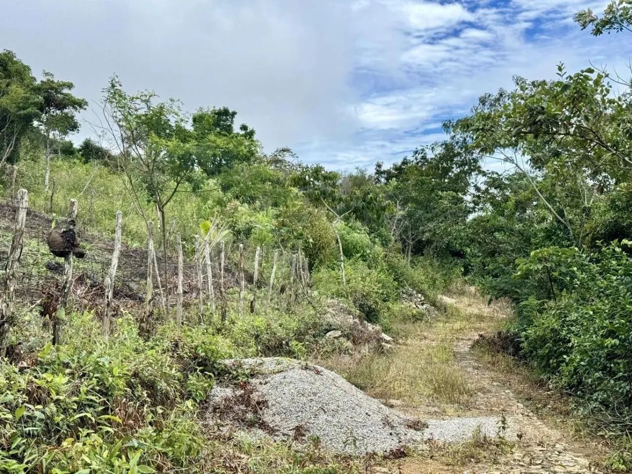 Terreno para , Sitio Cavaco, Mulungu - Foto 4