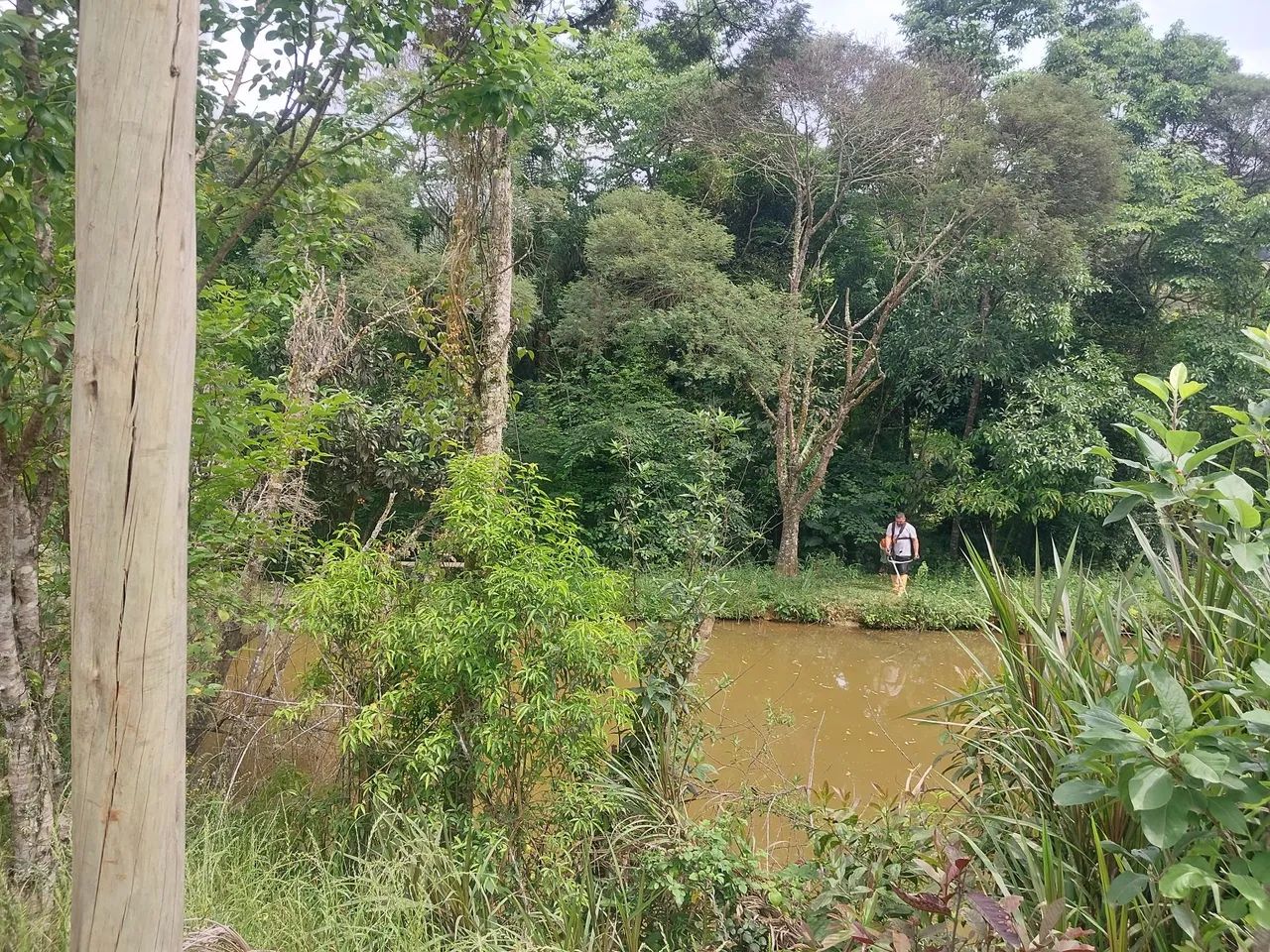 Sitio com casa em Alfredo wagner  - Foto 7