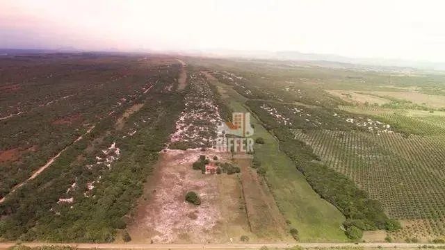 Lindissima Fazenda - Foto 2
