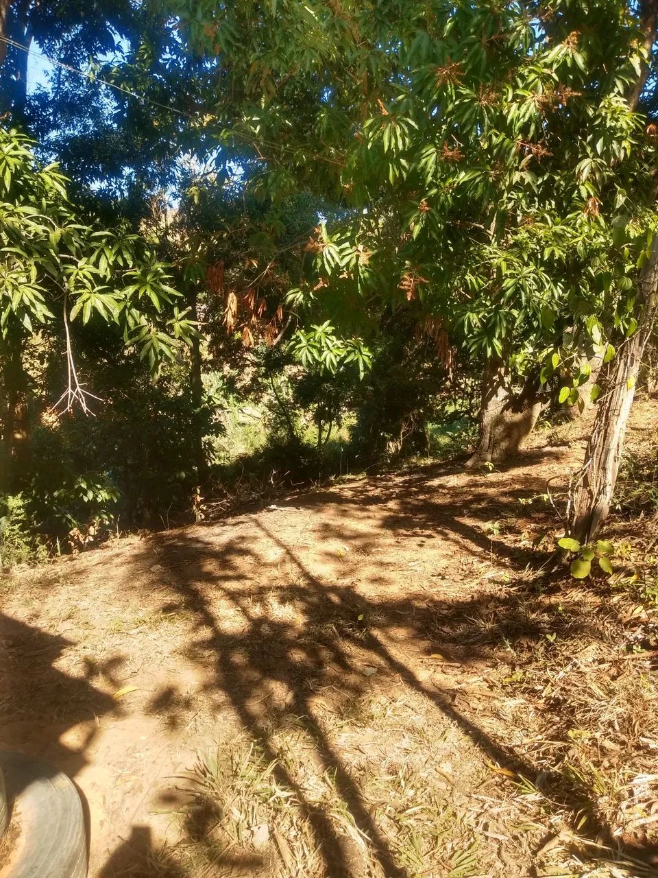Terreno com uma pequena mata nativa - Foto 2