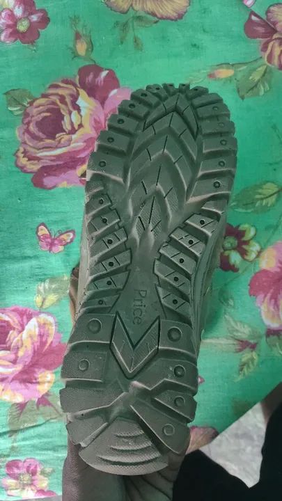 Coiote Marrom - Foto 3