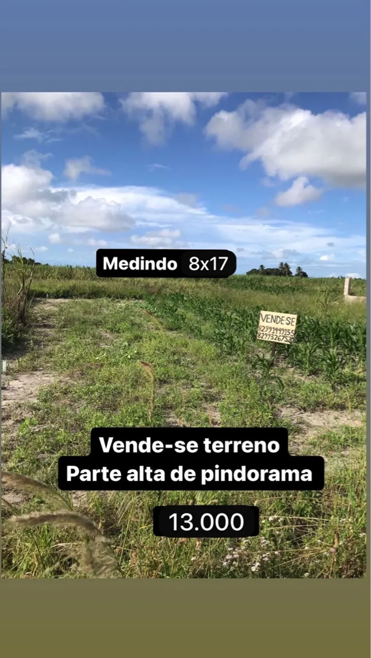 Terreno a venda 8x17 em pindorama - povoado Marechal