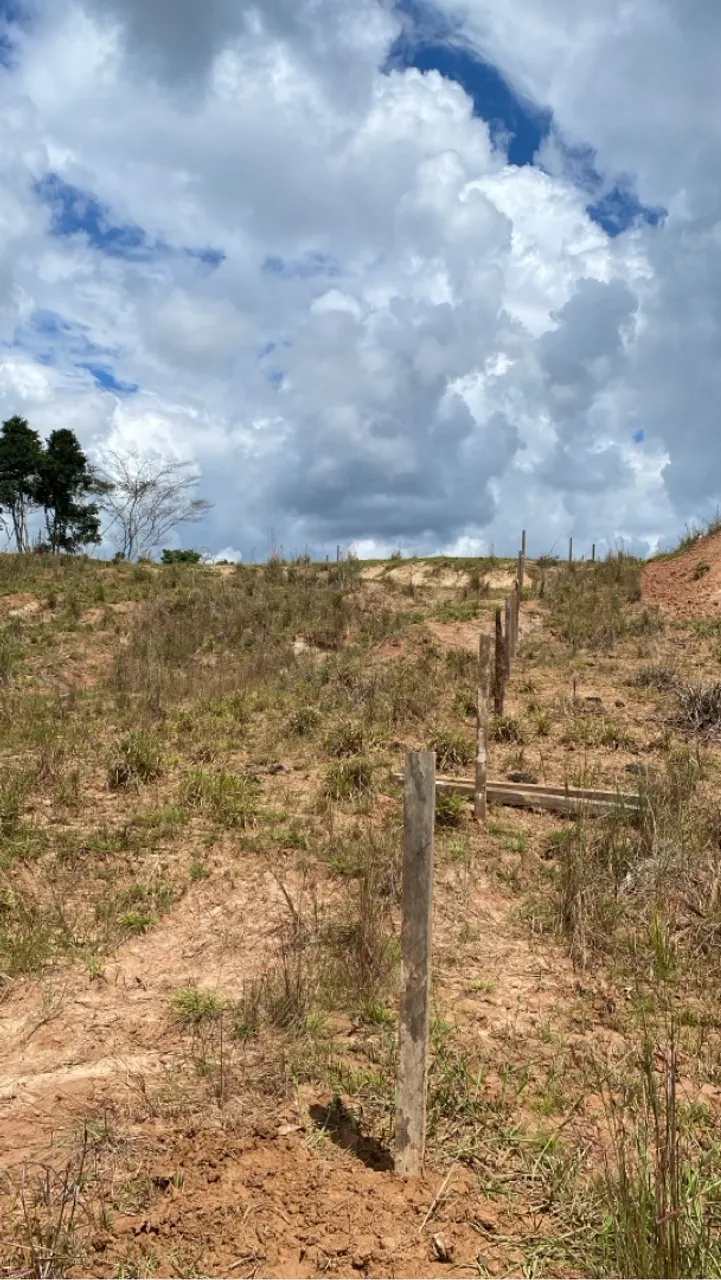 Terra a venda