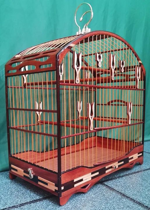 Gaiola Torneio  - Foto 4