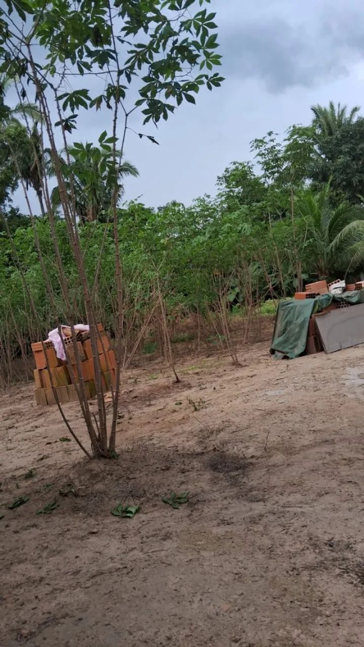 Vende se chácara na vila pedreira  - Foto 5