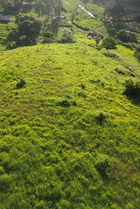 Fazenda 169,4 hectares - terra pronta - Foto 4