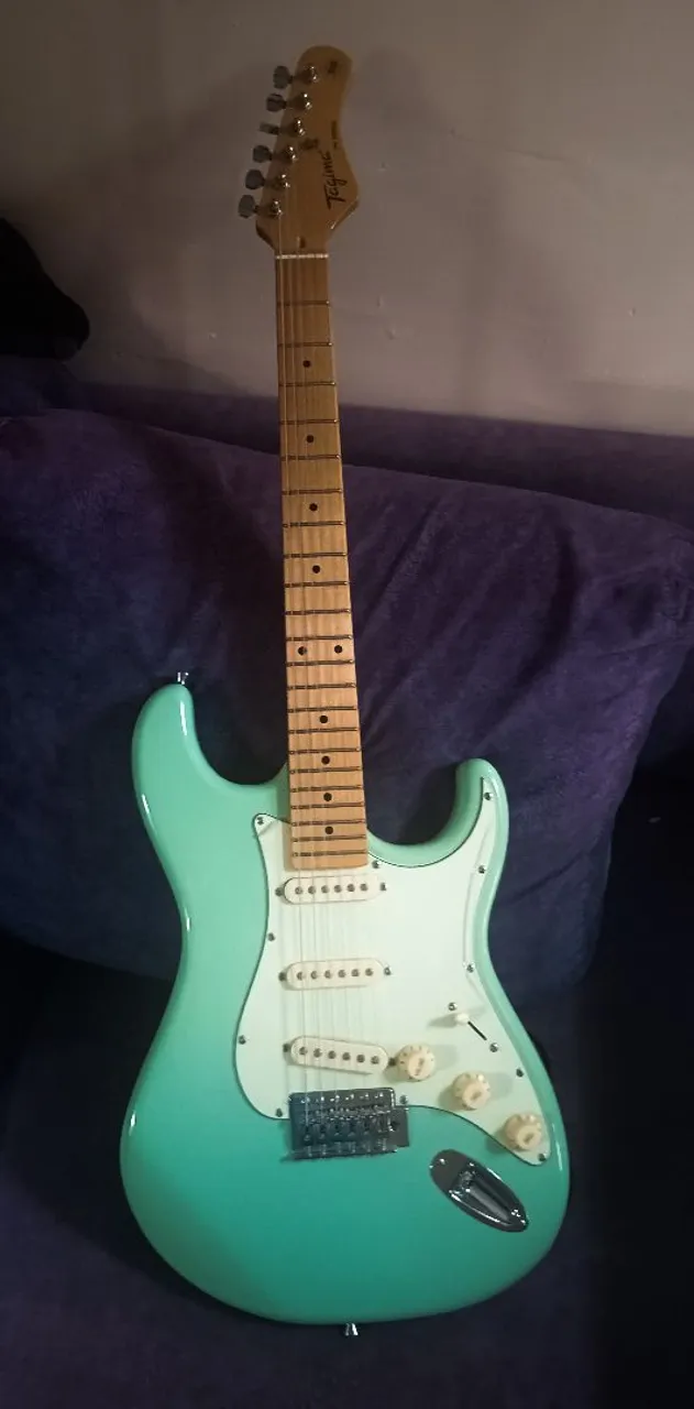Guitarra TG 530 