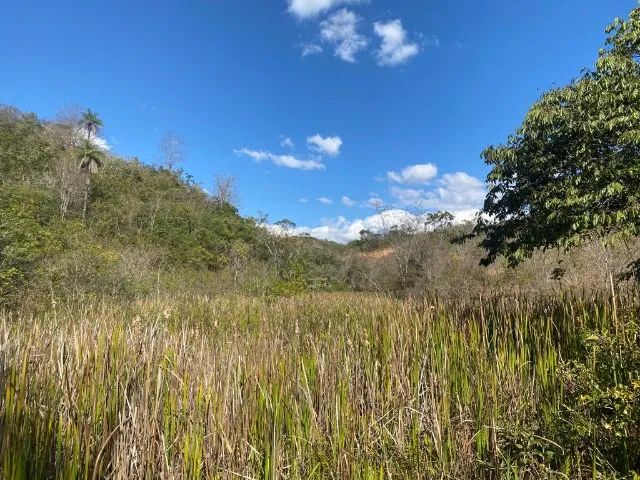  Fazenda 120 ha, córrego grande, três nascentes, duas lagoas, casa antiga, Jaboticatubas. - Foto 4