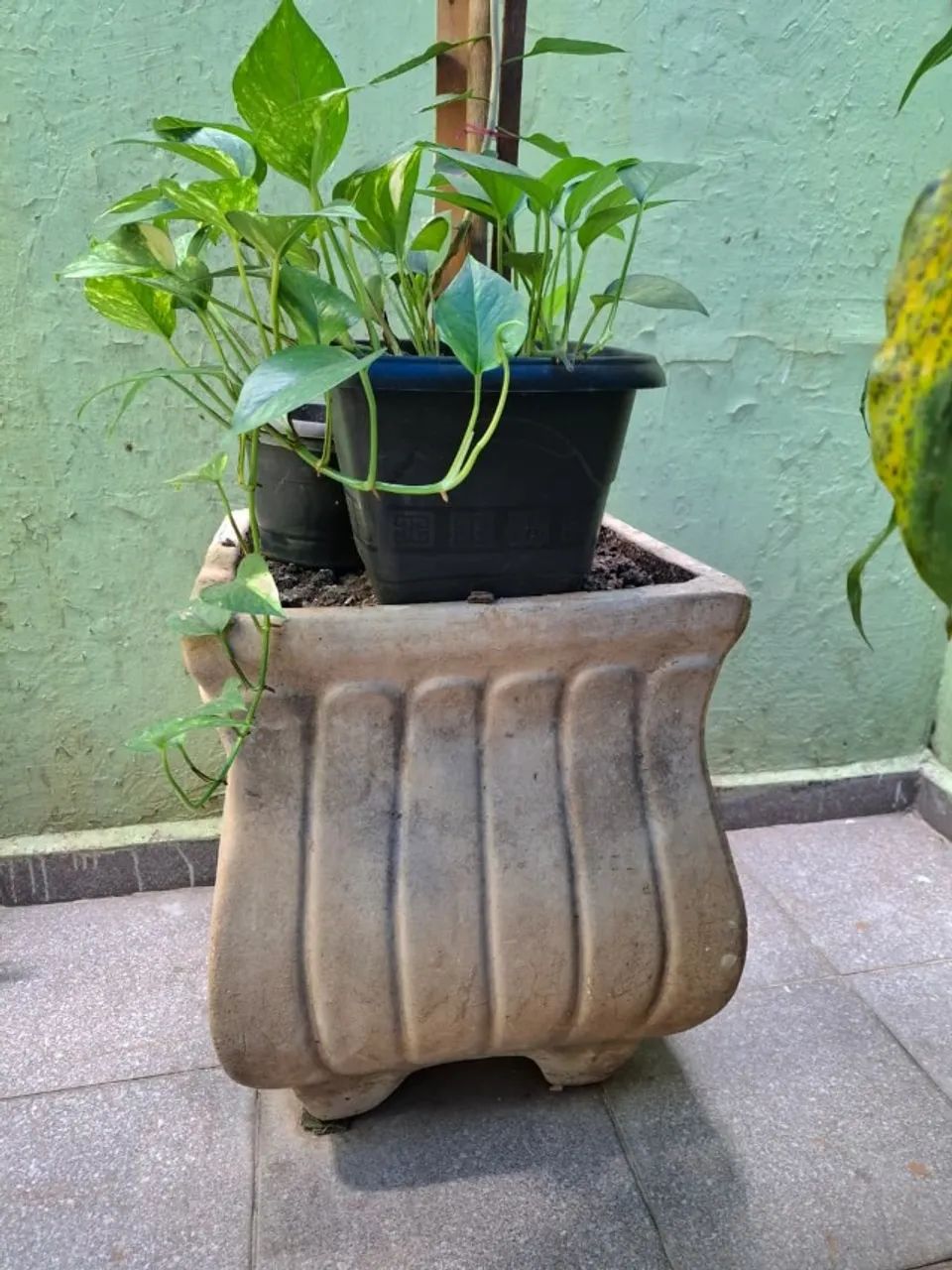 Vaso lindo  - Foto 2