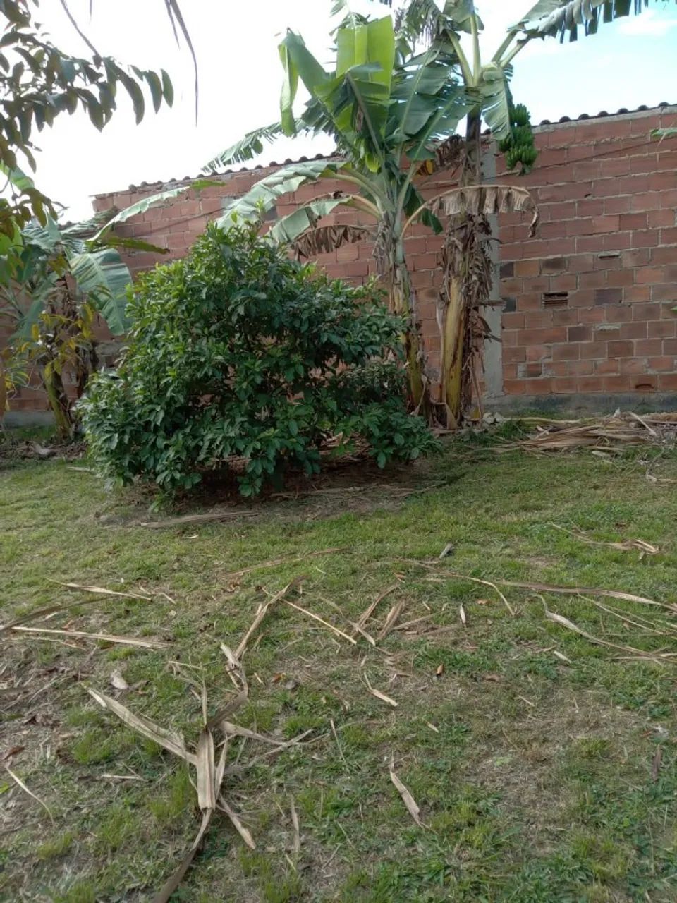 Vendo terrenos em Campo Lindo Seropédica a 100 metros do asfalto - Foto 7