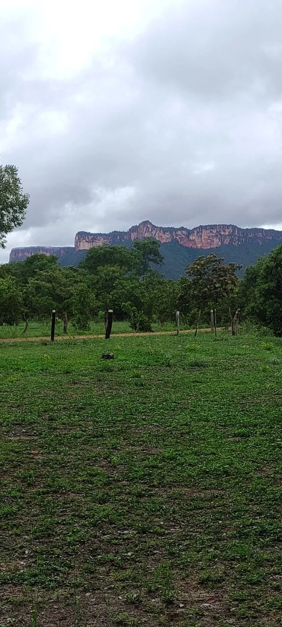 Chácara de 19 hectares com Rio Palma ? Aurora do Tocantins - Foto 3