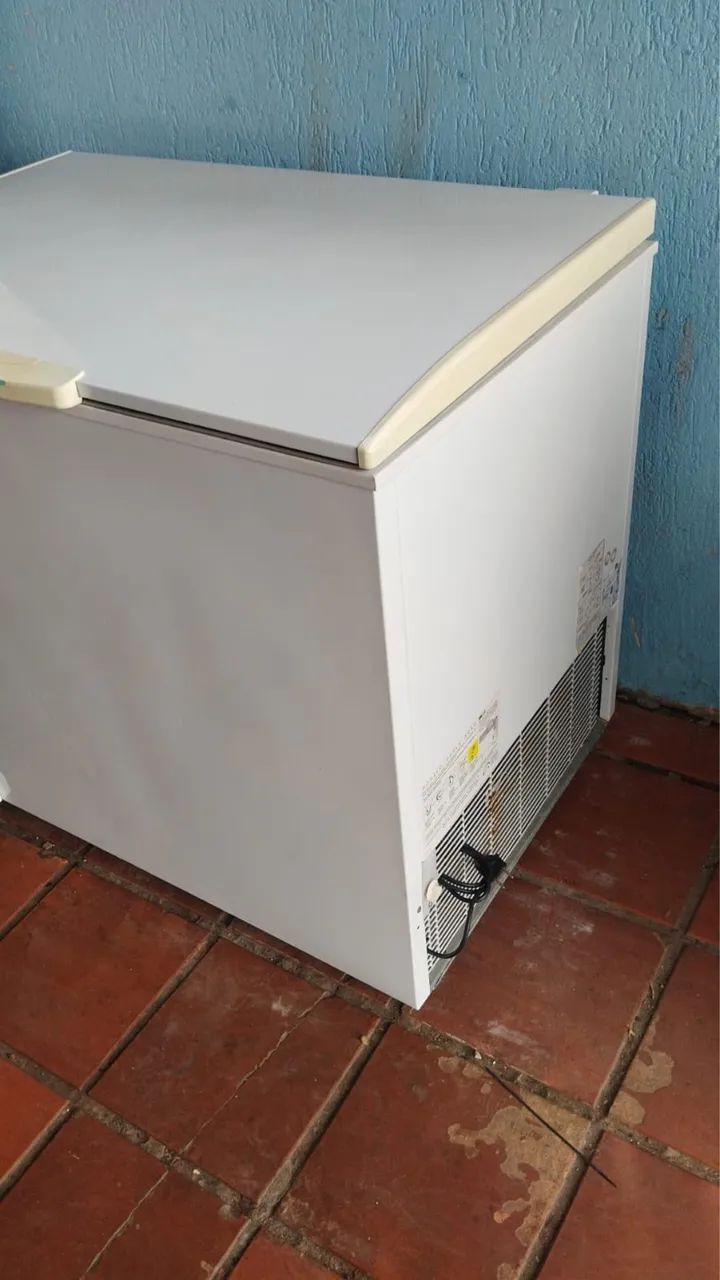 Freezer Electrolux  - Foto 2