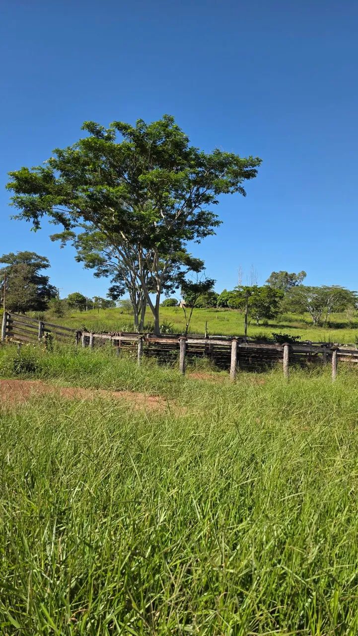 Vendo ou Troco_Lote Assentamento Flórida  - Foto 4