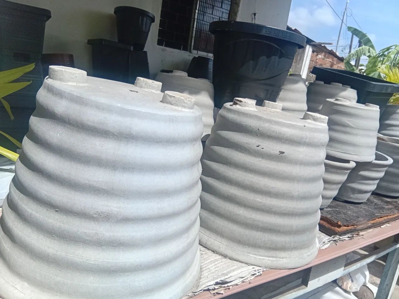 Casa das plantas ( Girador ufpb) - Foto 4