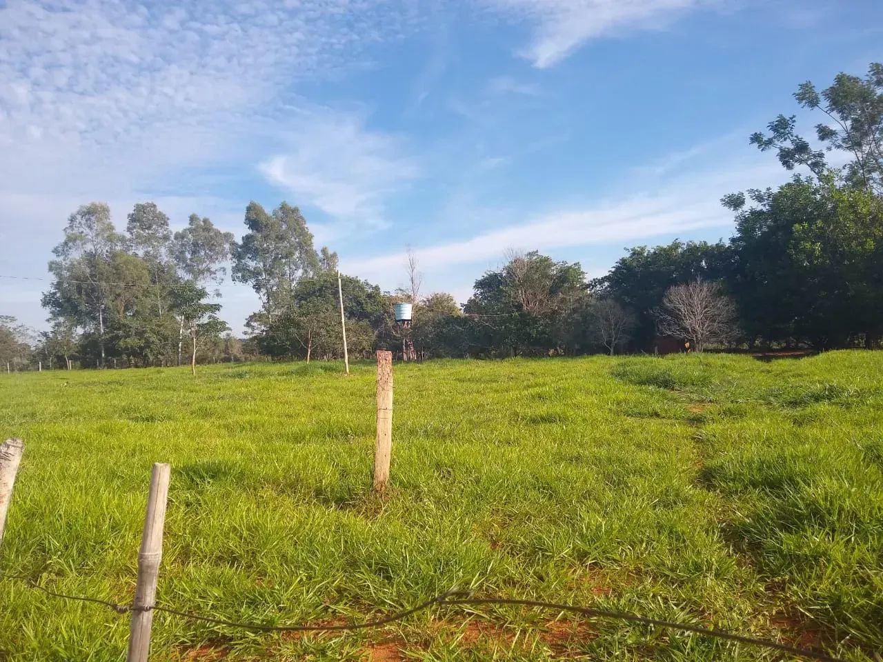 COD559 - Chácara a venda - 14hectares em Terenos/ MS. - Foto 2