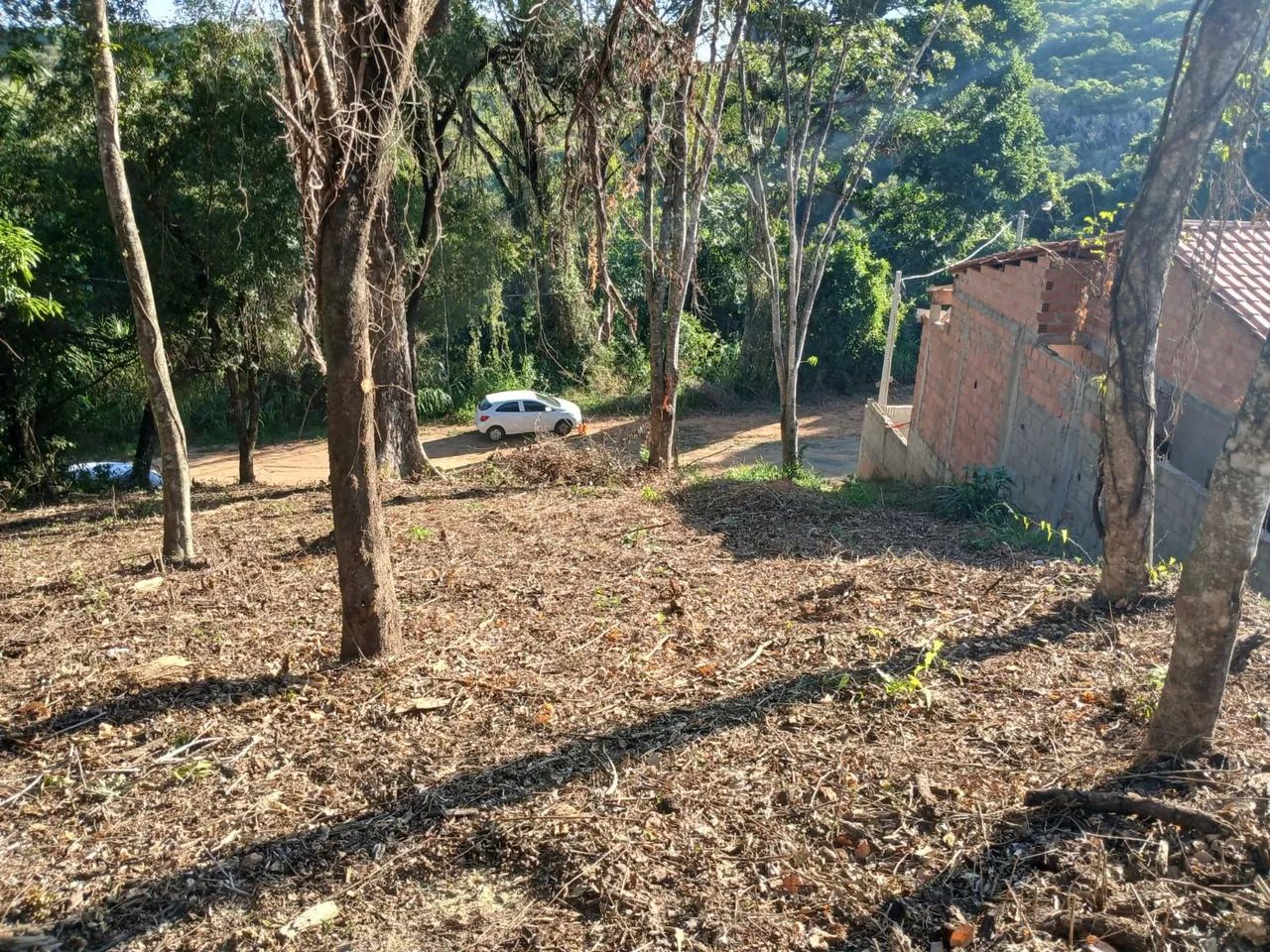 TERRENO JAGUARIUNA  - Foto 4