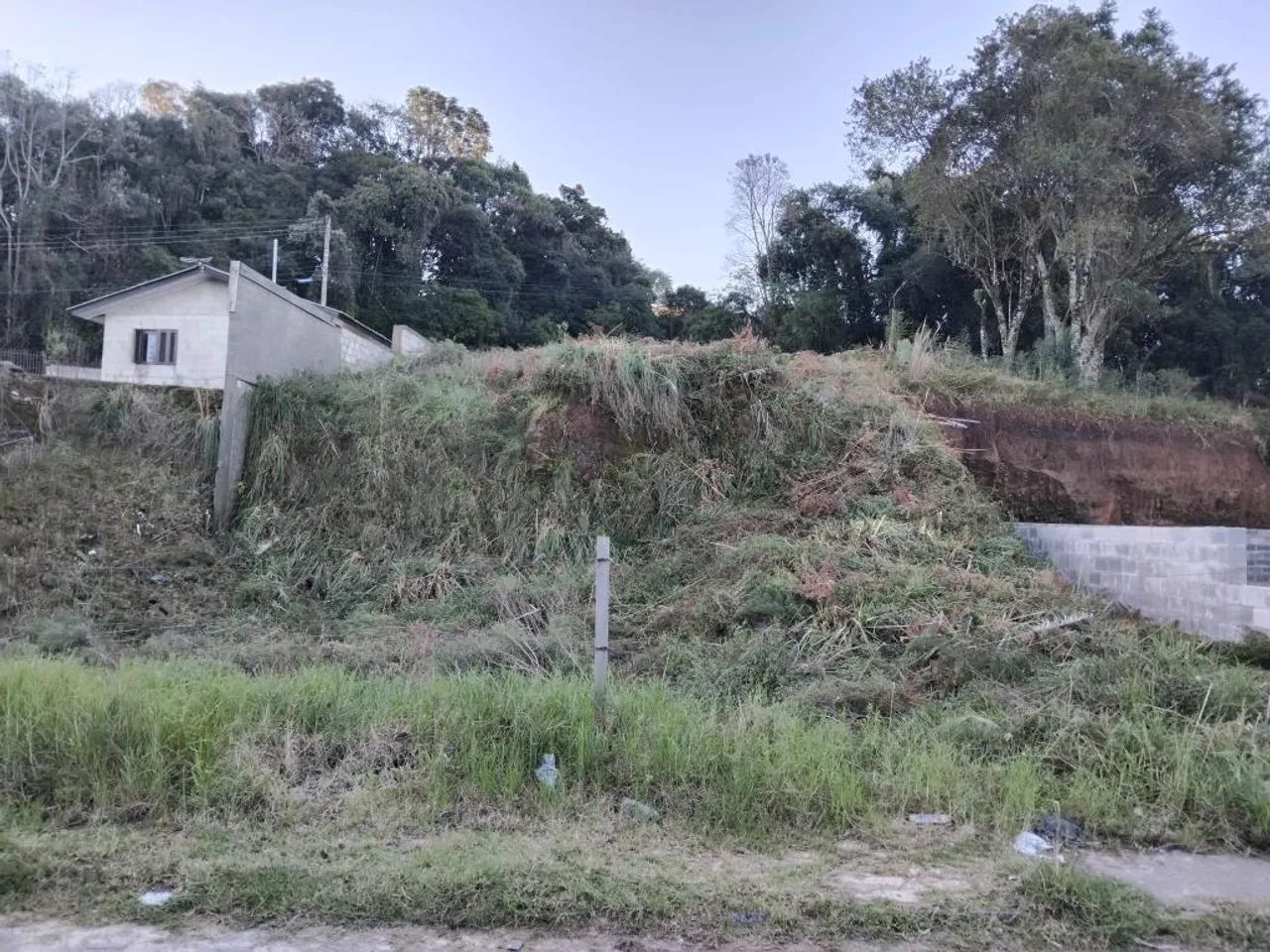 Terreno 6687