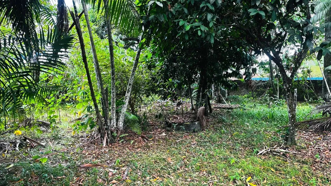 SÍTIO À VENDA EM OUTEIRO - Foto 3