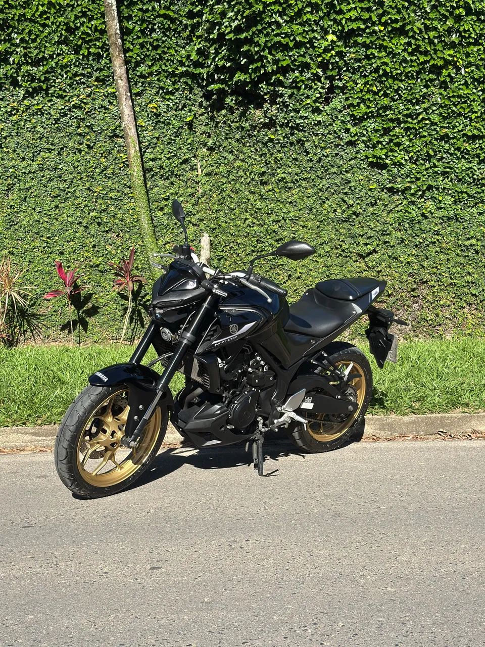 MT 03 - Foto 2