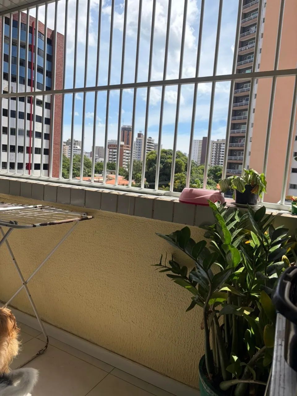 Dionísio Torres, próximo Escola Casa da Criança. - Foto 4