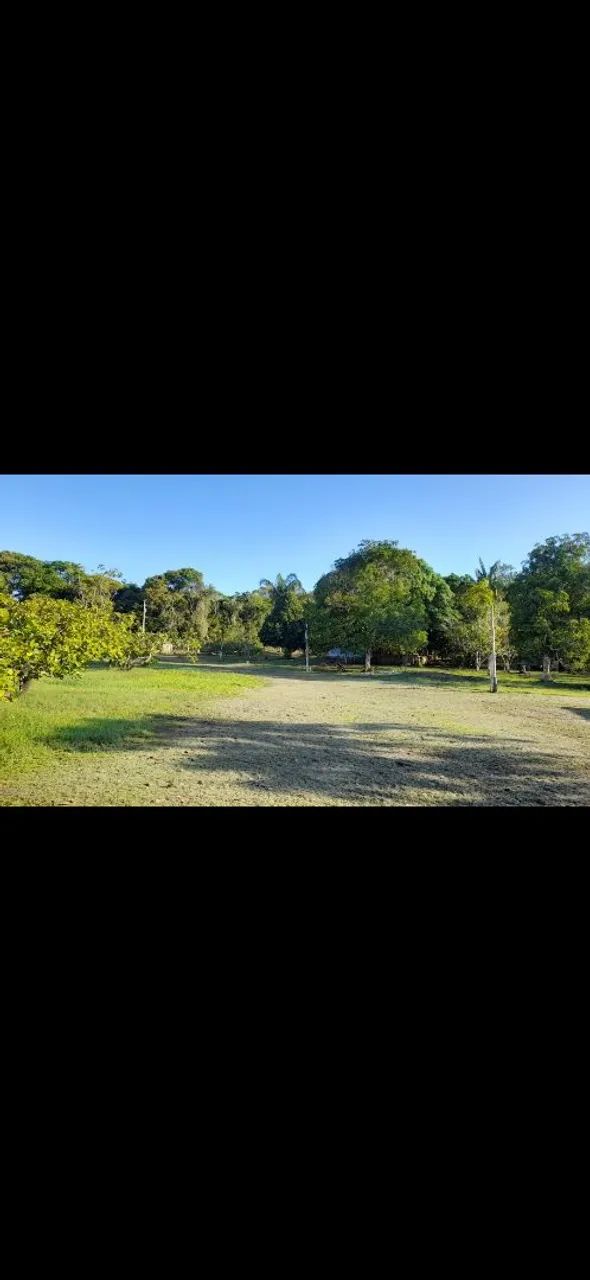 Sitio no Iranduba  - Foto 3
