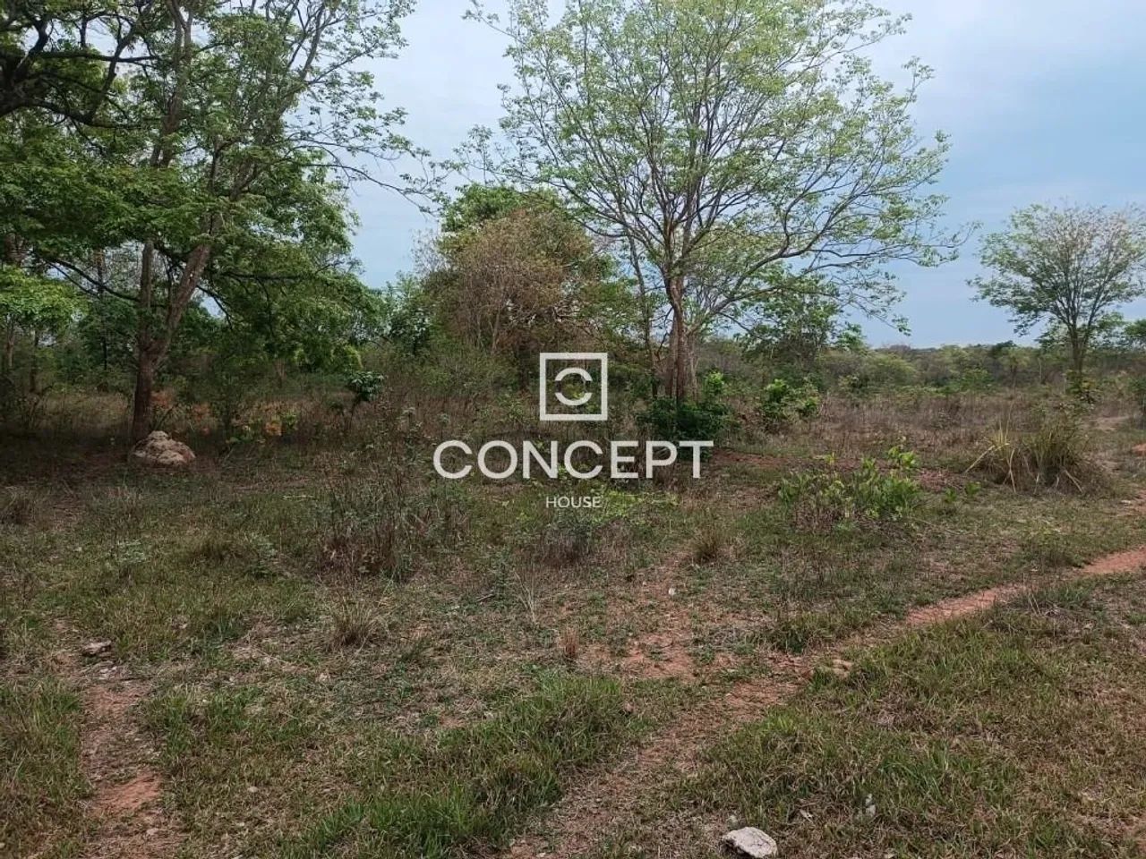 FAZENDA NA REGIÃO DE JANGADA / MT - Foto 4