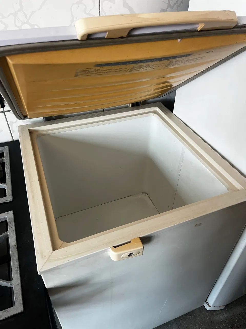 Freezer Electrolux  - Foto 2