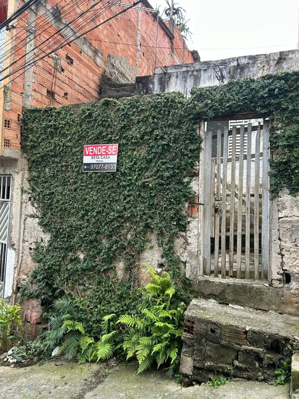 Foto - São Bernardo do Campo - Montanhão