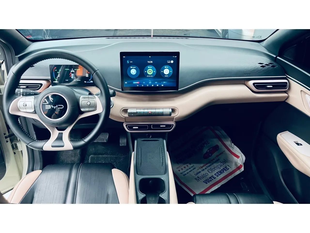 BYD Dolphin Mini (Elétrico) 2025 - Foto 4