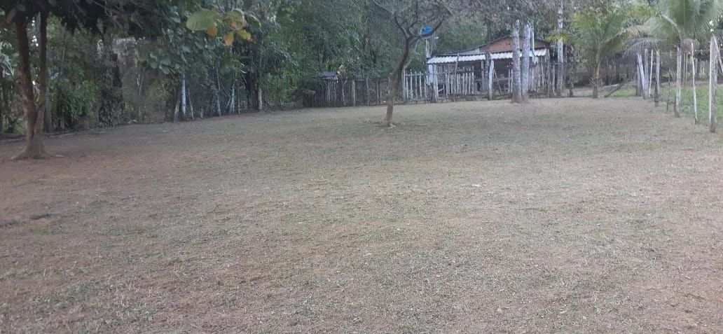TERRENO VILA BENFICA  - Foto 4