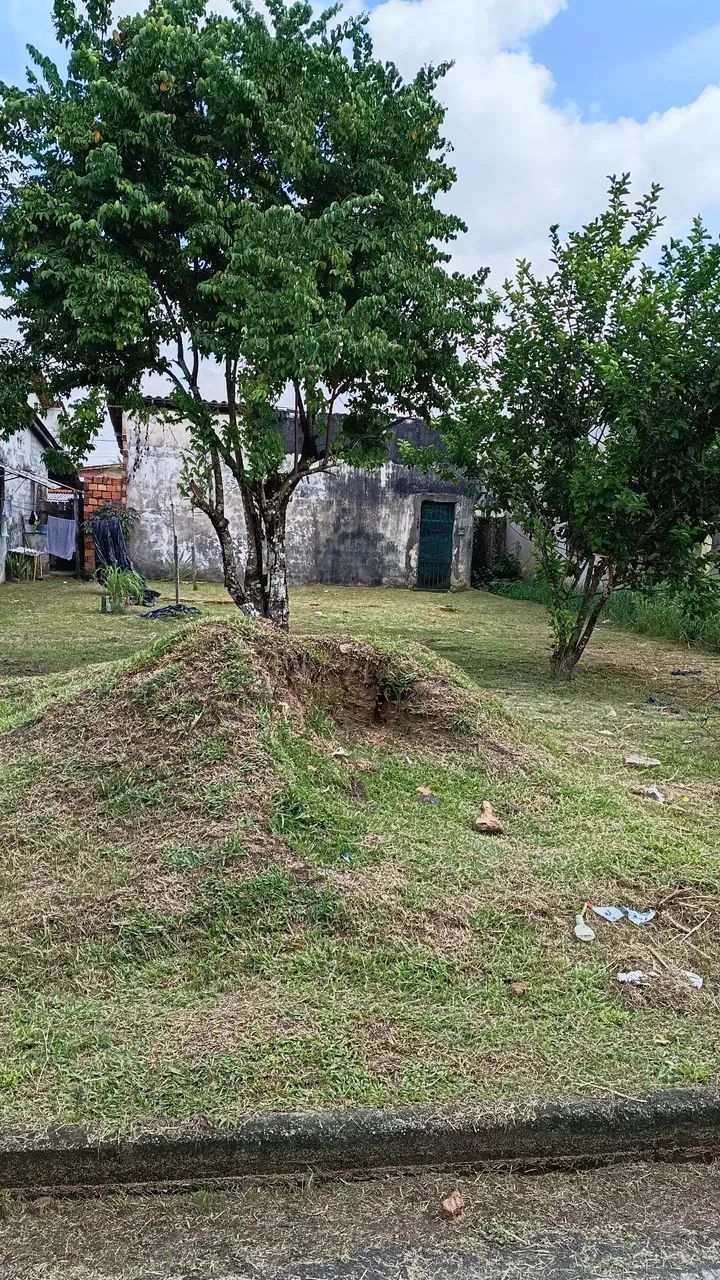 Casa Icuí  - Foto 2