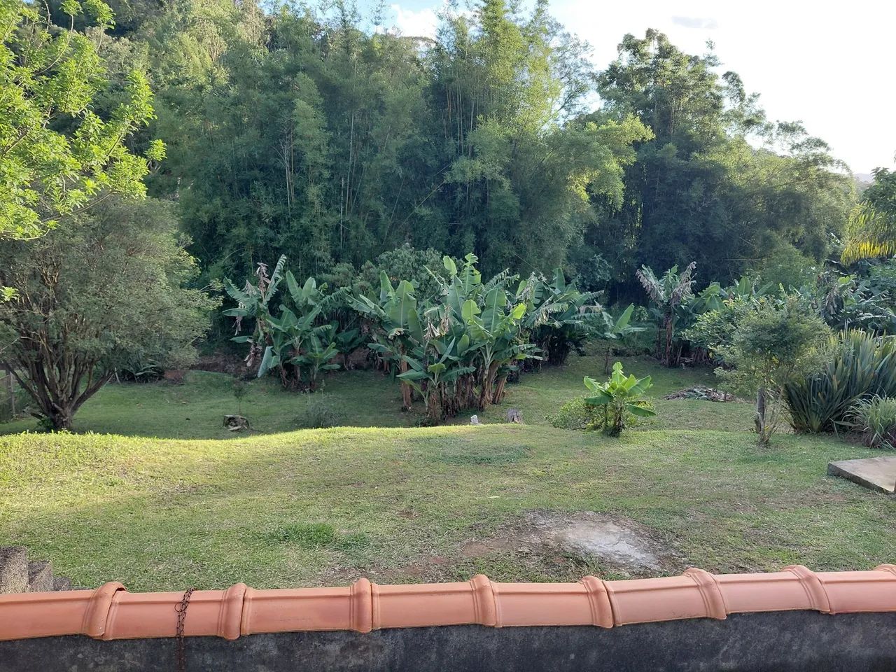 Chácara  - Foto 5