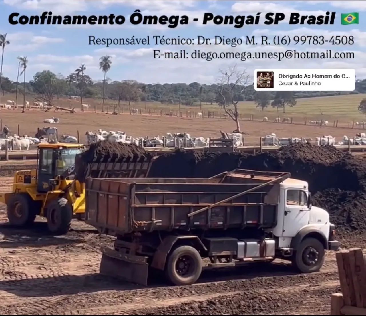 Esterco Bovino Ômega - Foto 2