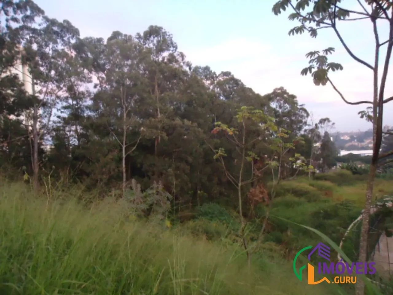 AREA - JARDIM ESTER - SP - Foto 5