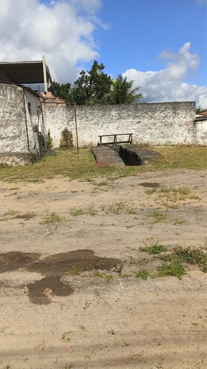 Alugo Área para Galpão  - Foto 2
