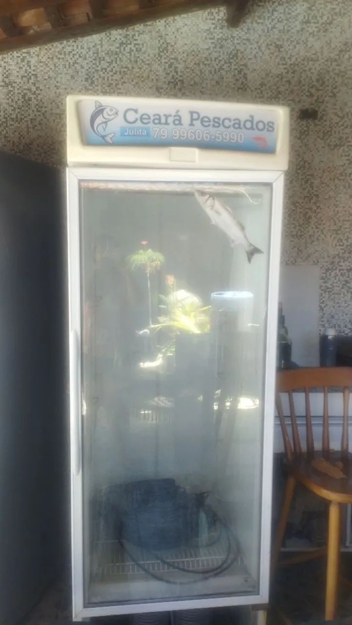 Frizer de congelamento Tampabde vidto
