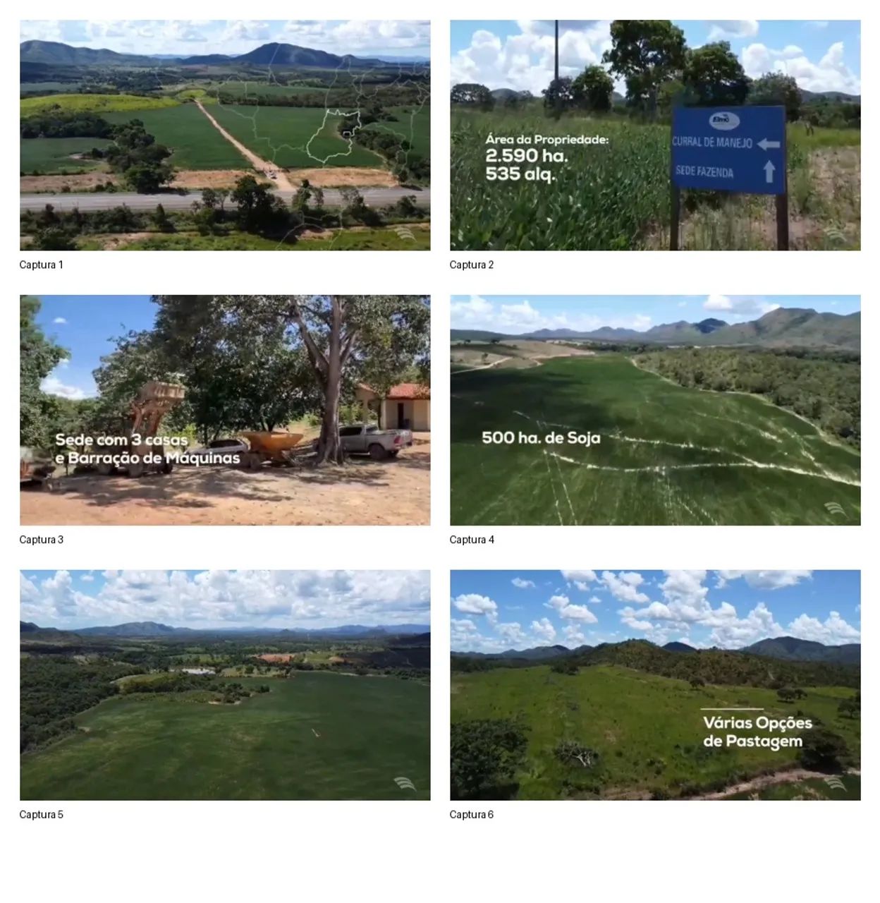 Fazenda Santa Helena/Vila propício GO